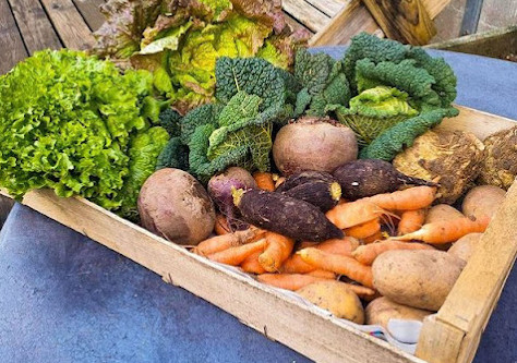 Panier de légumes de l'Amap du H Tiers-lieu à Villiers-sur-Marne