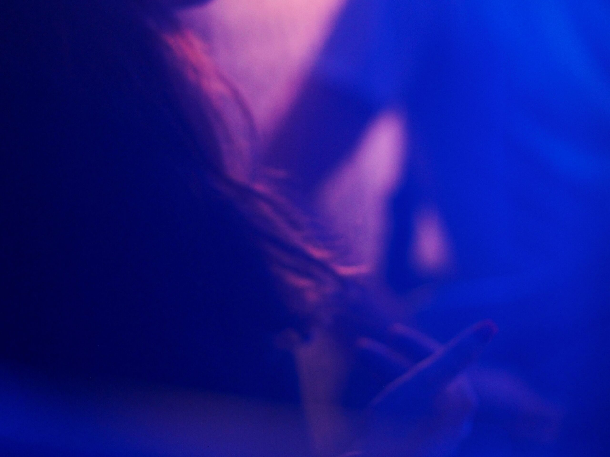 Ombres de deux musiciens, bleu et rose